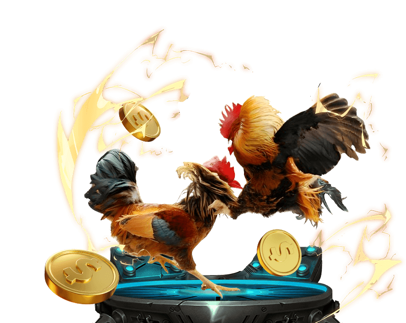 Trực tiếp các trận đá gà kịch tính từ các trường gà hàng đầu tại PG99