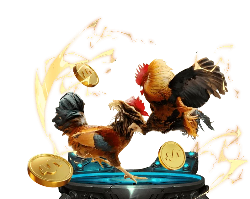 Trực tiếp các trận đá gà kịch tính từ các trường gà hàng đầu tại PG99